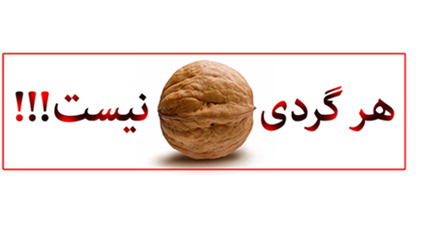 هر گردی گردو نیست